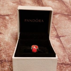 Pandora Charm 💞💞💞❤❤❤